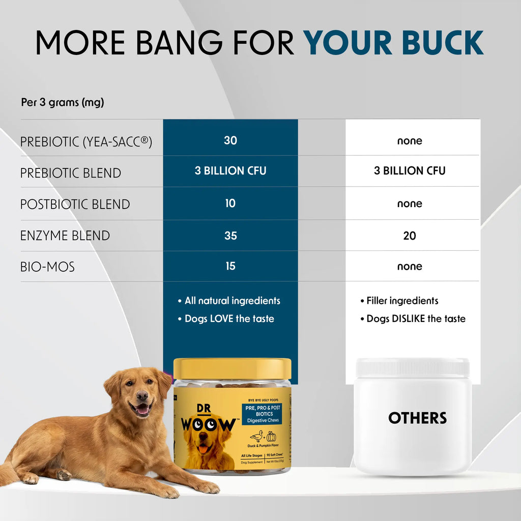Pre-Pro-Postbiotic Chews for Dogs – Support for Gas, Bloating, and Digestive Health | Dr. WOOW Feeding