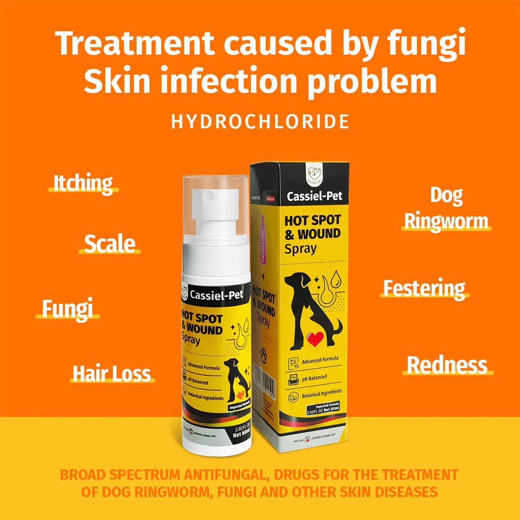 Cassiel Pet Hot Spot and Wound Spray for Dogs and Cats - Natural Soothing Skin Spray for Clean, Soft Skin and Itch Relief, Enhanced Packaging